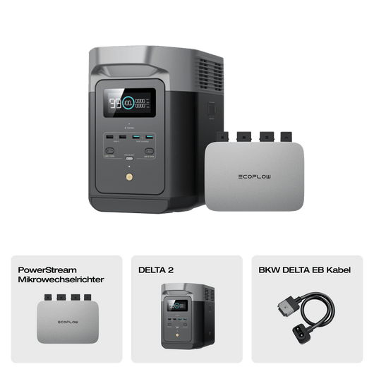 EcoFlow DELTA 2 Tragbare Powerstation DELTA 2 + PowerStream 800W